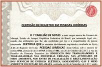 Estatuto sindical